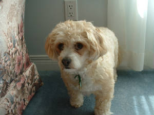 may2003020.jpg