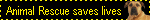 animalrescue.gif