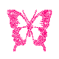 butterfly12.gif