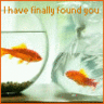 fishlove.gif