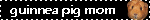 guinneapigmom.gif