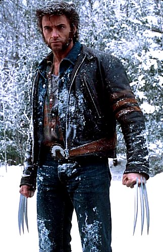 hotwolverine.jpg