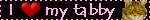 ilovemytabby.gif