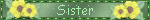 sister_1.gif